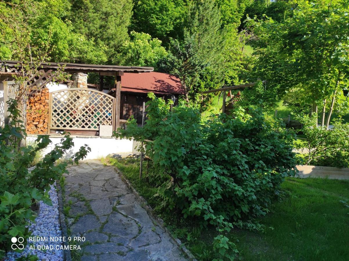 Ferienhaus Kraiter Apartment Schladming Bagian luar foto